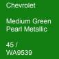 Preview: Chevrolet, Medium Green Pearl Metallic, 45 / WA9539.